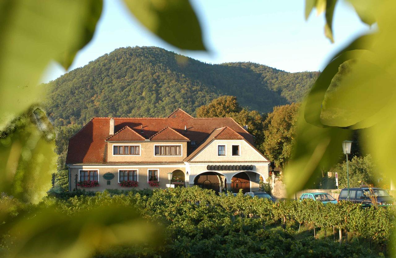 Weingut-Pension Stockingerhof デュルンシュタイン エクステリア 写真
